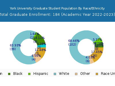 York University 2023 Graduate Enrollment by Gender and Race chart