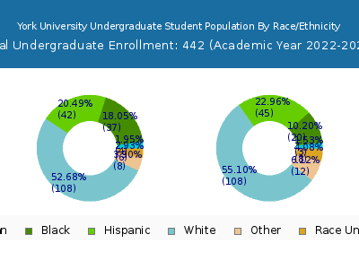 York University 2023 Undergraduate Enrollment by Gender and Race chart