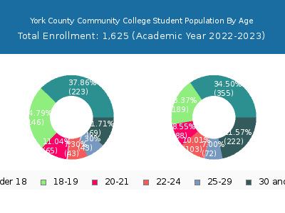 York County Community College 2023 Student Population Age Diversity Pie chart