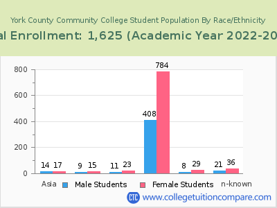 York County Community College 2023 Student Population by Gender and Race chart