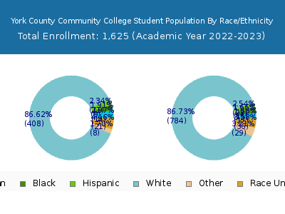 York County Community College 2023 Student Population by Gender and Race chart
