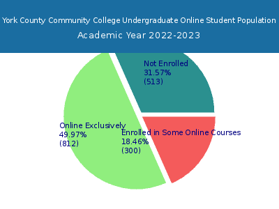 York County Community College 2023 Online Student Population chart