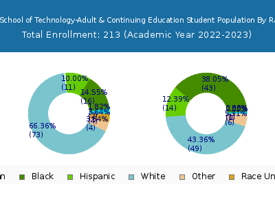 York County School of Technology-Adult & Continuing Education 2023 Student Population by Gender and Race chart