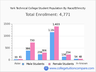 York Technical College 2025 Student Population by Gender and Race chart