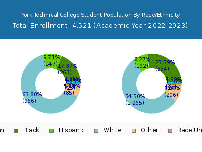 York Technical College 2023 Student Population by Gender and Race chart