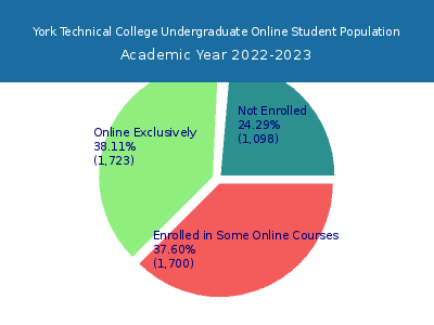 York Technical College 2023 Online Student Population chart