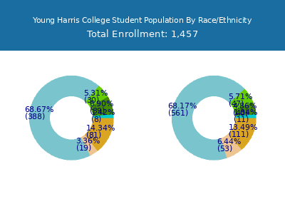 Young Harris College 2025 Student Population by Gender and Race chart