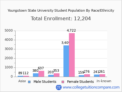 Youngstown State University 2025 Student Population by Gender and Race chart