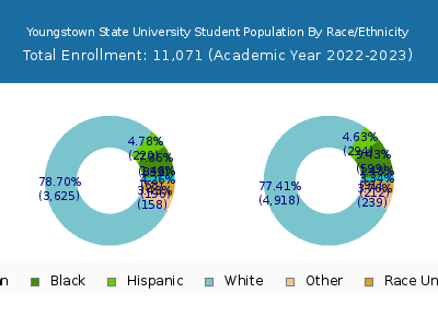 Youngstown State University 2023 Student Population by Gender and Race chart