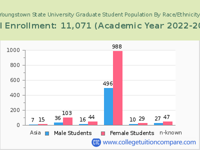 Youngstown State University 2023 Graduate Enrollment by Gender and Race chart