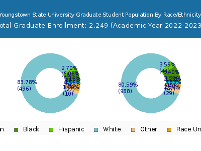 Youngstown State University 2023 Graduate Enrollment by Gender and Race chart