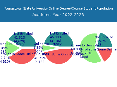 Youngstown State University 2023 Online Student Population chart