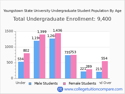 Youngstown State University 2025 Undergraduate Enrollment by Age chart