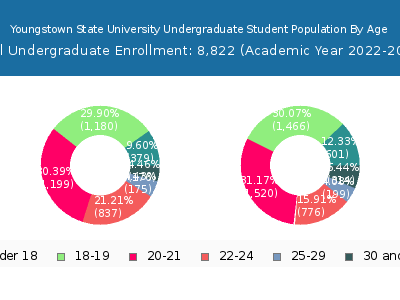 Youngstown State University 2023 Undergraduate Enrollment Age Diversity Pie chart