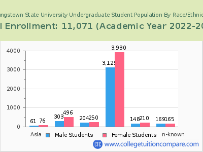 Youngstown State University 2023 Undergraduate Enrollment by Gender and Race chart