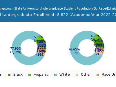 Youngstown State University 2023 Undergraduate Enrollment by Gender and Race chart