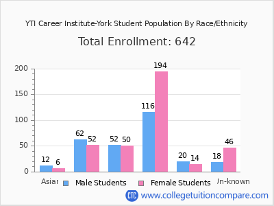 YTI Career Institute-York 2025 Student Population by Gender and Race chart