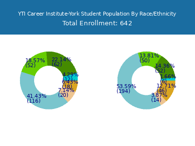 YTI Career Institute-York 2025 Student Population by Gender and Race chart
