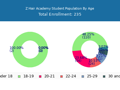 Z Hair Academy 2024 Student Population Age Diversity Pie chart