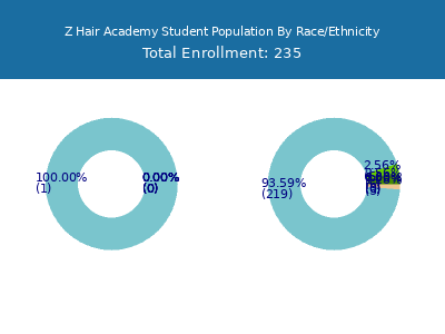 Z Hair Academy 2025 Student Population by Gender and Race chart