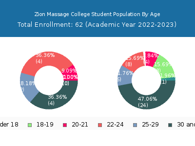 Zion Massage College 2023 Student Population Age Diversity Pie chart