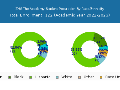 ZMS The Academy 2023 Student Population by Gender and Race chart